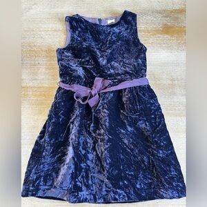 Crewcuts Crushed Velvet Dress